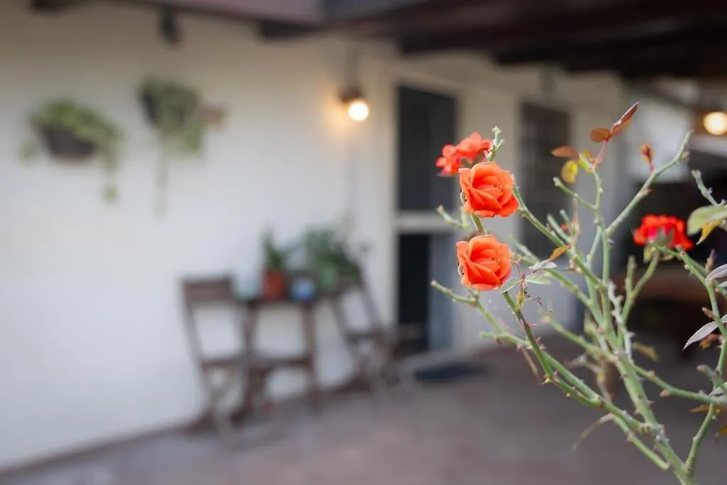 Casa Dantemini Casa Fiera Di Roma Piana Del Solerm Fiumicino Apartment